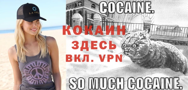 гашик Медвежьегорск
