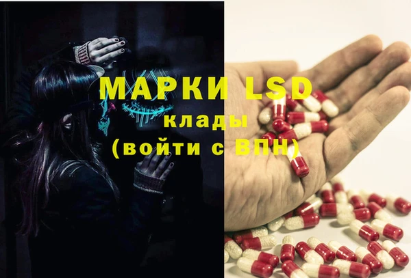 гашик Медвежьегорск