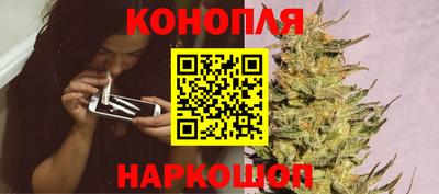 мяу мяу мука Ирбит