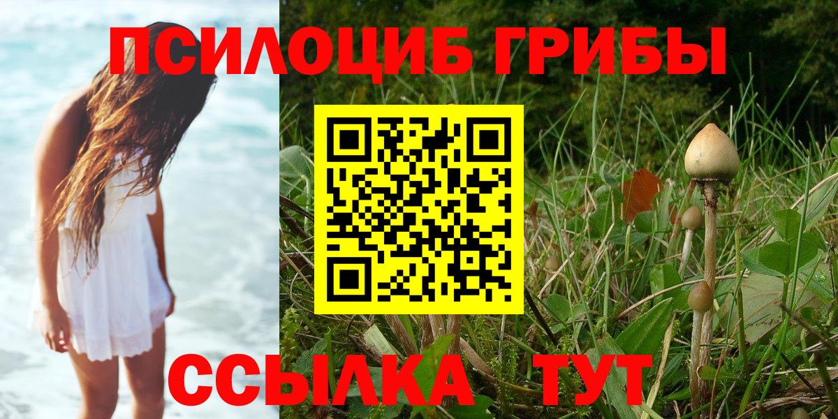 Галлюциногенные грибы GOLDEN TEACHER Октябрьский