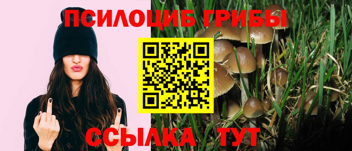 Октябрьский  как найти   Вход с VPN  Галлюциногенные грибы мухоморы  Галлюциногенные грибы GOLDEN TEACHER 